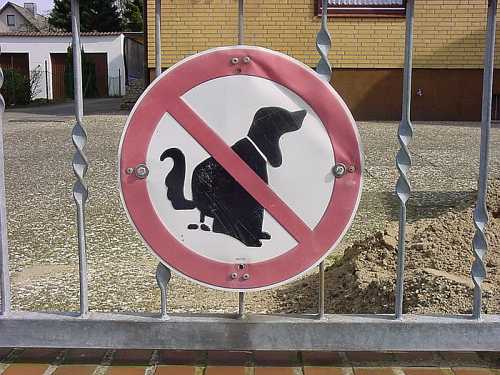 Schild Keine Hundetoilette