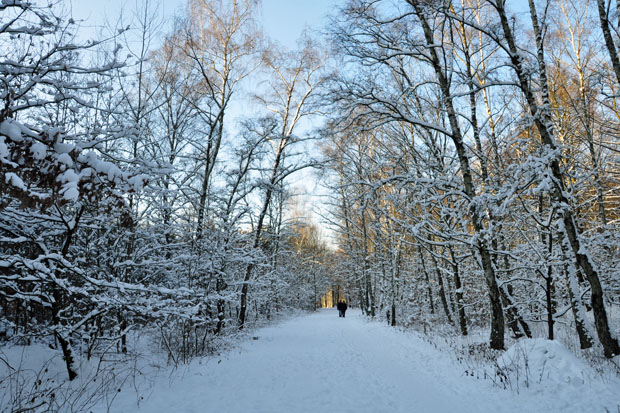 Winter-Impressionen 2010